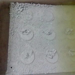 脱漆剂